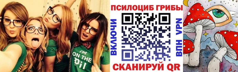 Купить  Алзамай  Псилоцибиновые грибы прущие грибы 